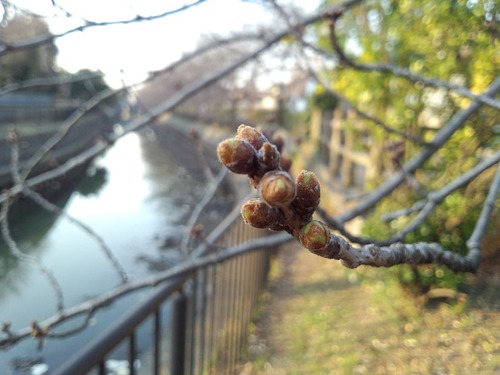 飲酒運転撲滅条例  その２